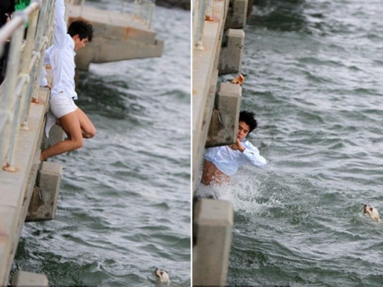 男子雷登發現一名婦人的狗狗落海，立刻跳下水救援（圖／翻攝自Newspix）