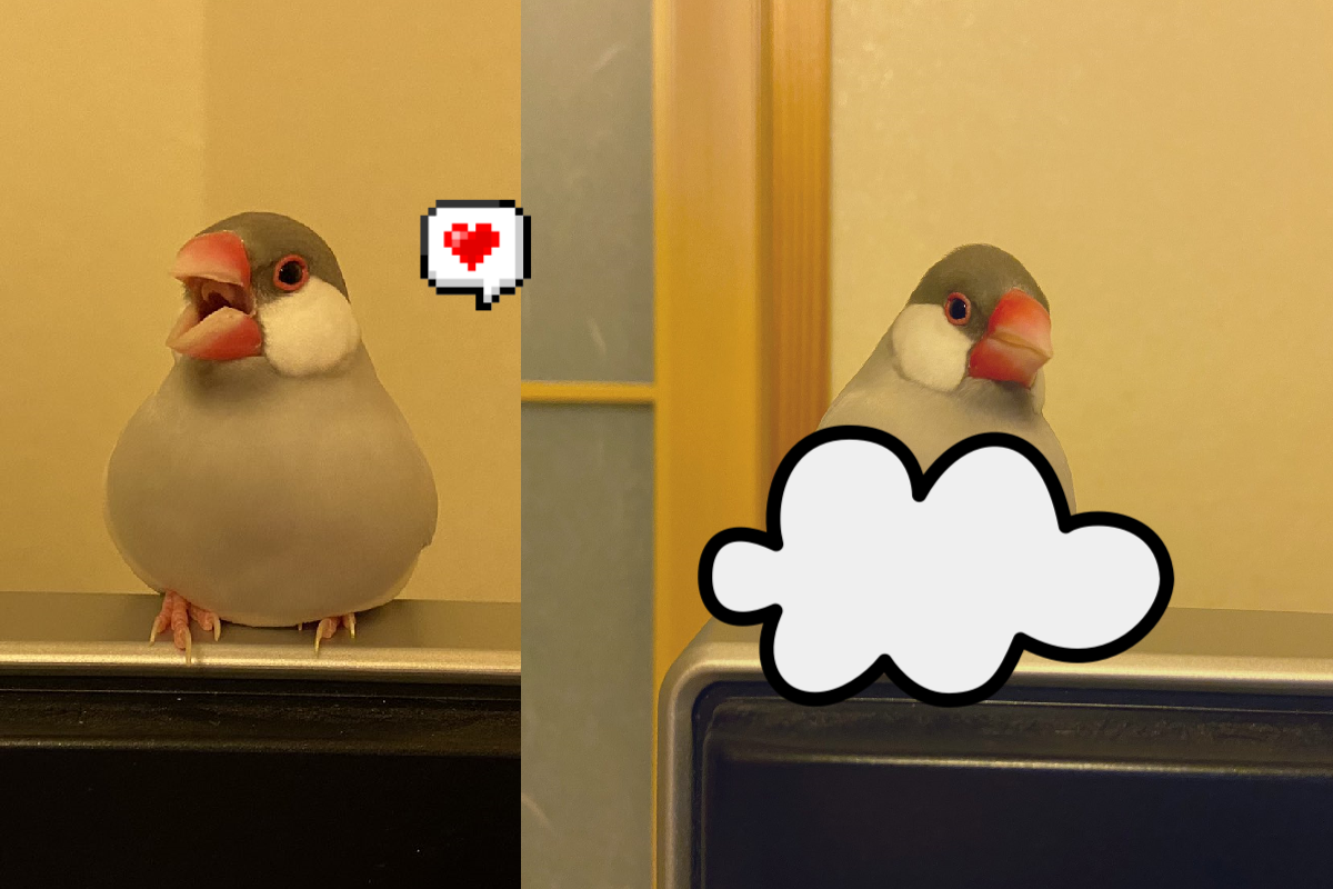 坐電視上取暖，文鳥「奶油般融化」，與電視成一體！（圖／Twitter＠bunchoshirasu）