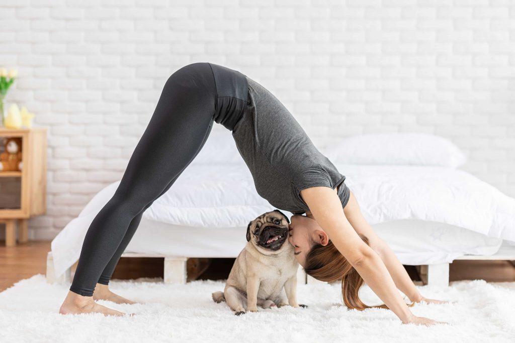 ▲下犬式能伸展後腿肌群。（圖／Shutterstock）