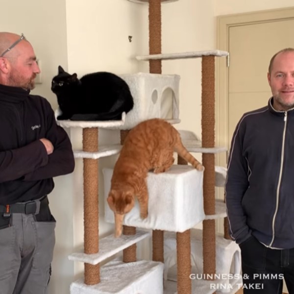 黑貓與洗窗大叔另類好朋友　終於面對面相見歡啦！