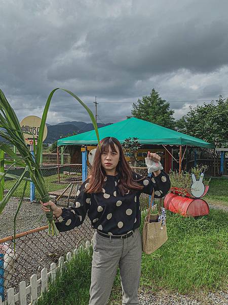 ▲餵完所有小動物後，最後帶著牧草去餵食大羊。（圖／歡迎光臨，東宅 Vida Cómoda）