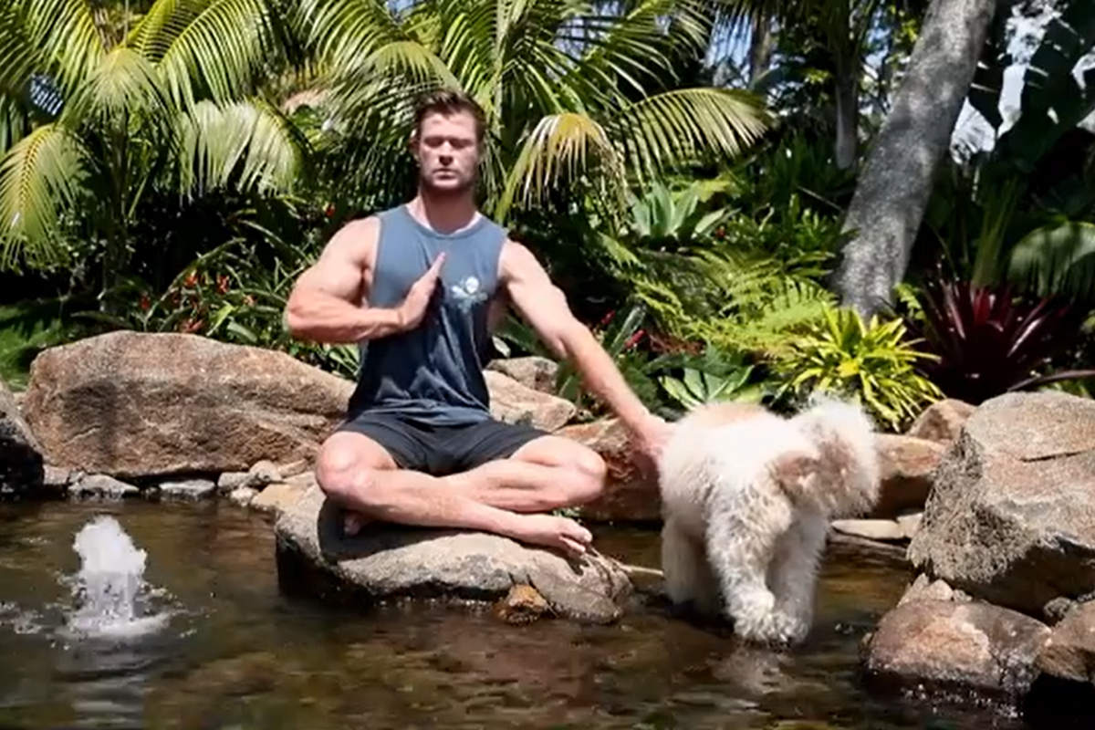 克里斯漢斯沃正在打坐冥想，中途竟遭狗狗亂入！（圖／IG@chrishemsworth）