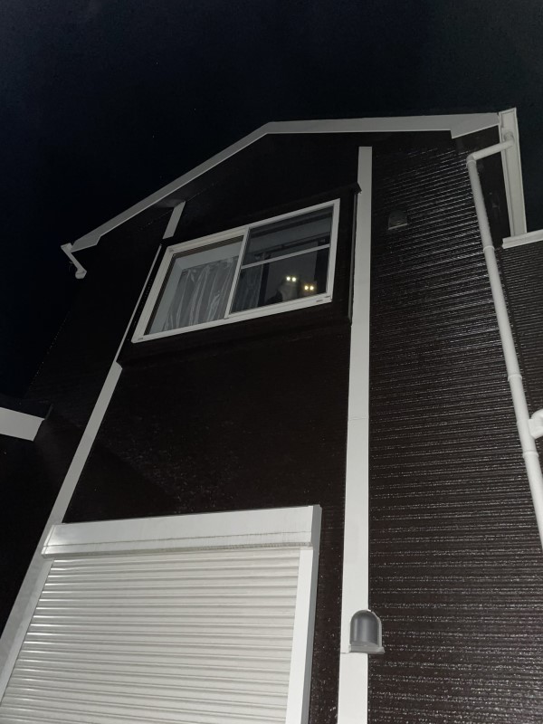 偷吃壽司回家驚見窗戶「投射燈」　貓主子俯視：沒揪？