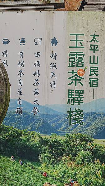 ▲玉露茶驛站的「茶葉大餐」可是食尚玩家都來採訪過的呢。（圖／歡迎光臨，東宅 Vida Cómoda）