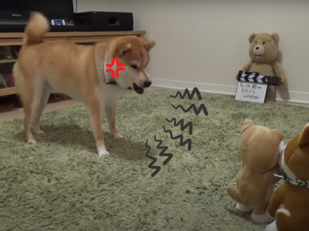 柴叫一句娃娃應一句，真是氣死柴了！（圖／Youtube＠柴犬だいふくdaifuku_channel）