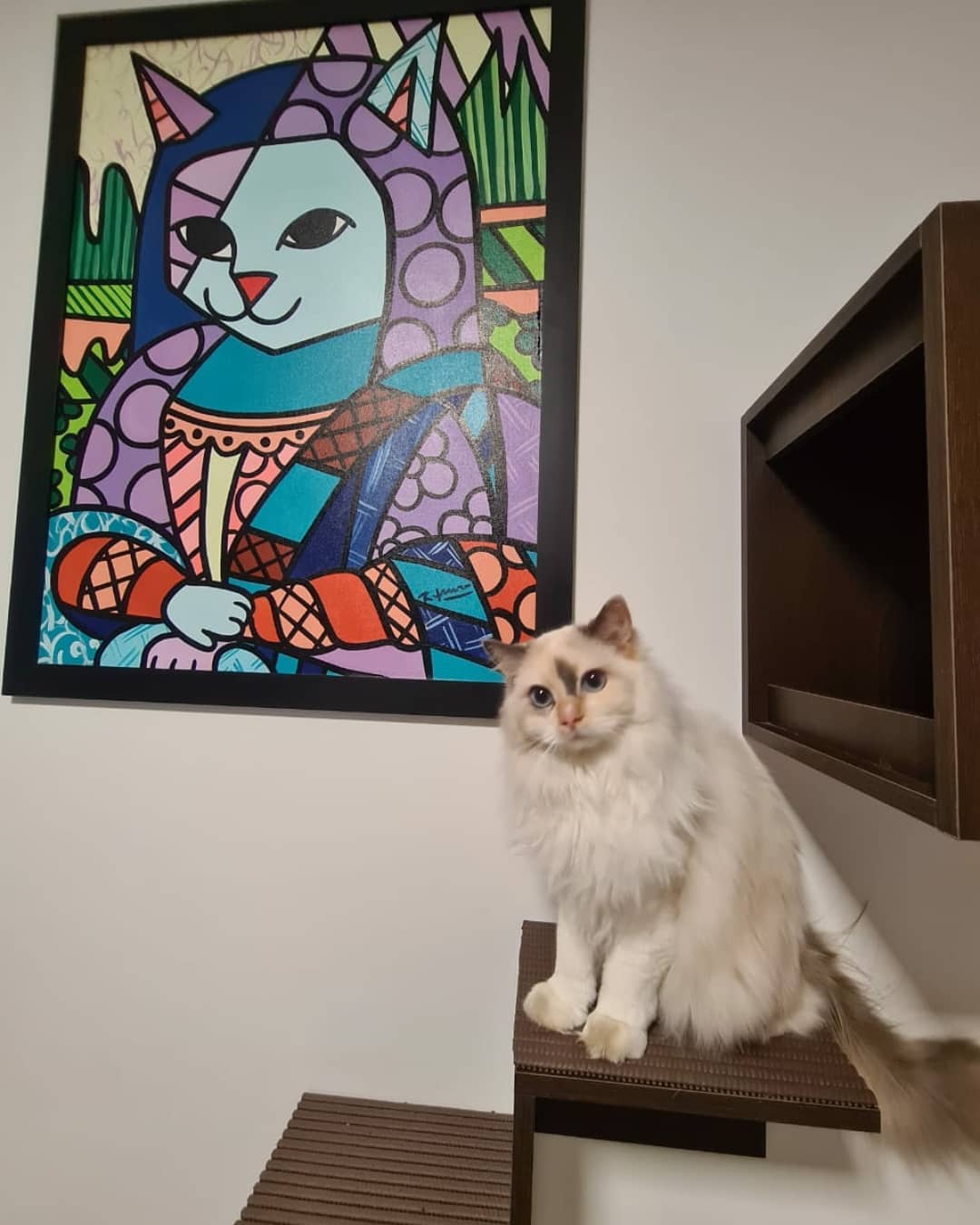 坐在貓貓畫旁邊，白貓看起來真像一個學養豐富的藝術家～（圖／Instagram@nicolauandvalentinacats）