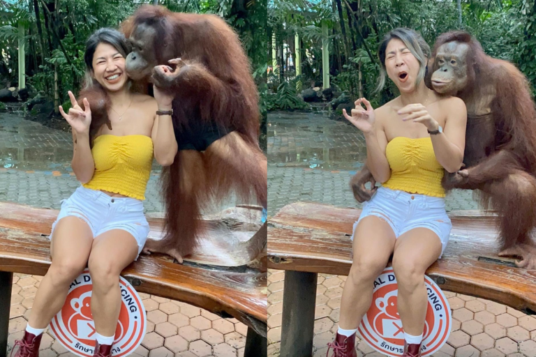 紅毛猩猩騷擾正妹！20秒「激吻影片」瘋傳　網友暴動笑瘋
