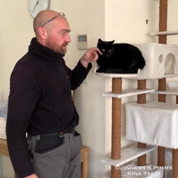 黑貓與洗窗大叔另類好朋友　終於面對面相見歡啦！