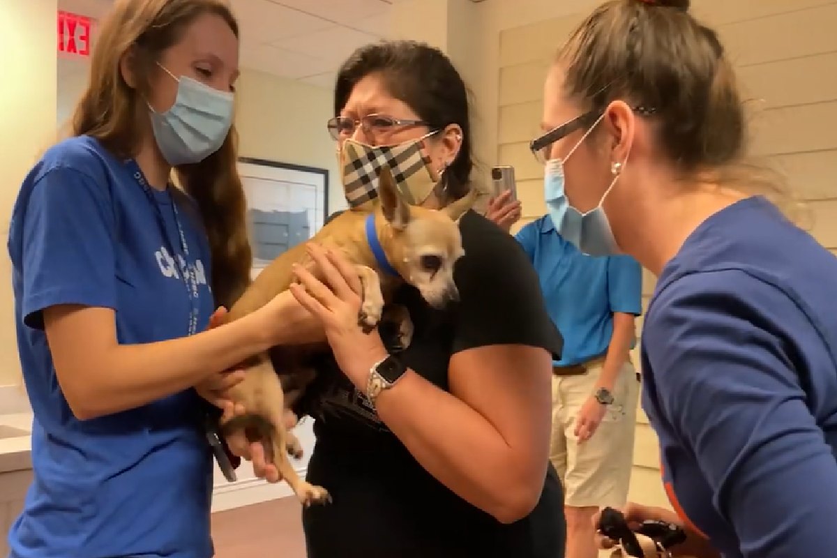  狗狗失蹤六年送收容所，終於回到原主人身邊（圖／Facebook＠HUMANE SOCIETY OF BROWARD COUNTY） 