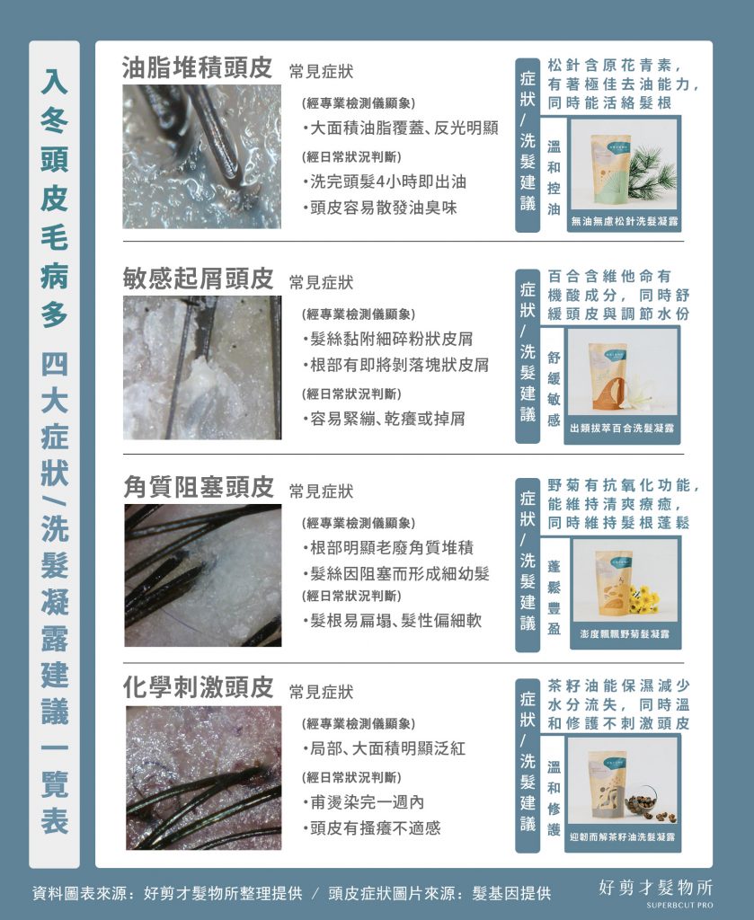 ▲四大頭皮症狀解析。（圖／好剪才）