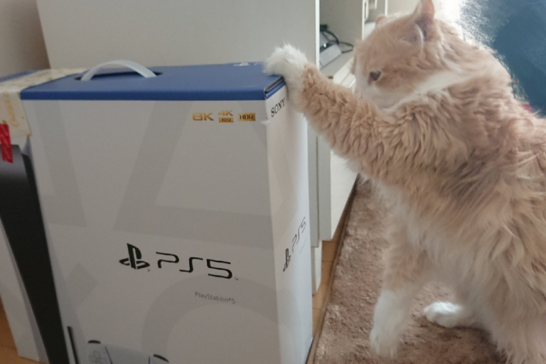 貓咪對PS5產生「濃厚興趣」，一會兒竟咚咚咚玩起來（圖／Twitter＠ancoko_co）