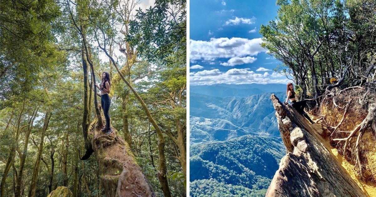 ▲北得拉曼巨木步道| Beidelaman Giant Tree Trail(Photos courtesy of @aoaovillia323 (left) and @bpintaiwan (right)/Instagram)