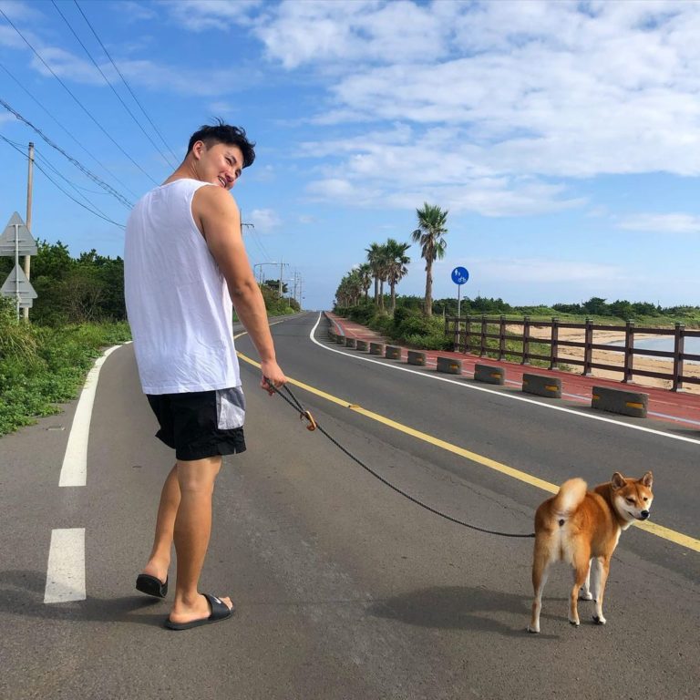 經常一起散步（圖／Instagram@shiba_dongmyoung）