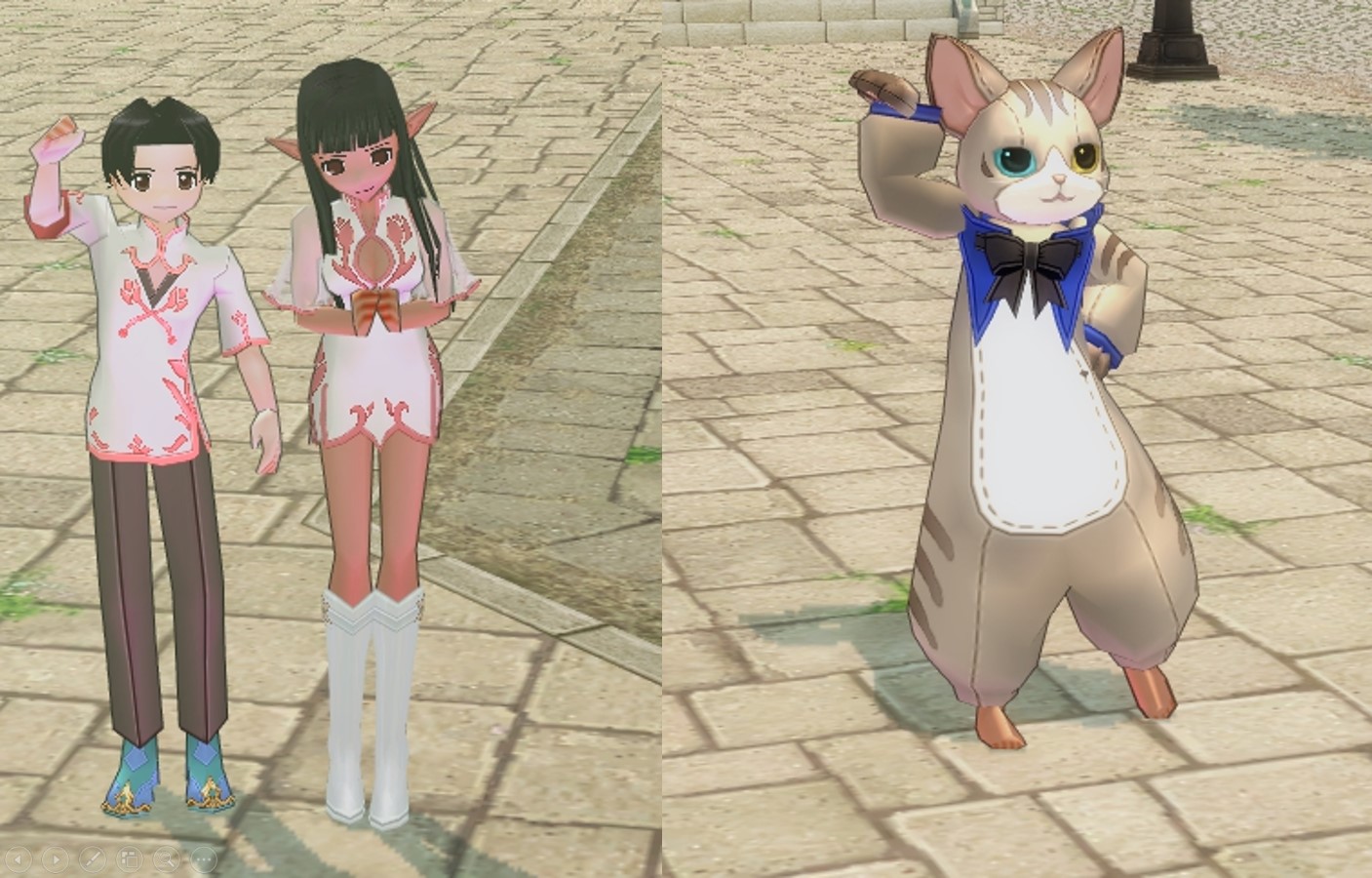 《新瑪奇》鬱金香摩登服裝和異色瞳條紋貓咪服裝。