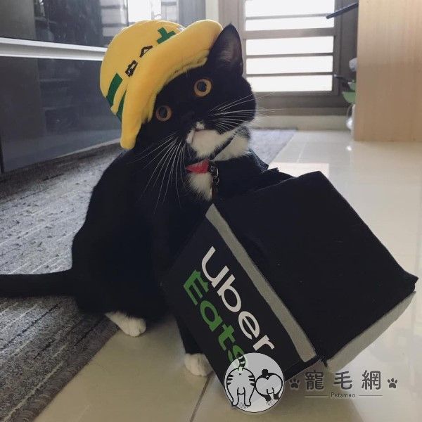 ▲從小就一臉呆萌加上配合度很高,常常被馬麻Fan