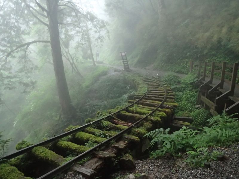 ▲交通部11月27日核定補助宜蘭縣政府880萬元進行太平山林鐵山地線可行性研究。（圖／羅東林區管理處提供)