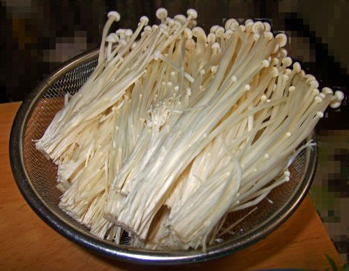 金針菇 ▲為何火鍋必備金針菇?兩派人馬全戰翻,1缺點曝光。(示意圖/取自PhotoAC)