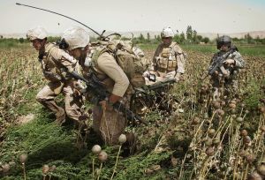 美國軍隊/美軍/對台軍售/示意圖/陸戰隊 ▲(圖/美聯社/達志影像)