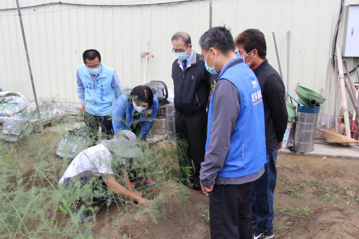 ▲雲林監獄外監作業協助農務缺工需求，雲縣長張麗善等前往關心並贈送遮陽帽和手套。（圖／記者簡勇鵬攝，2020.12.08）
