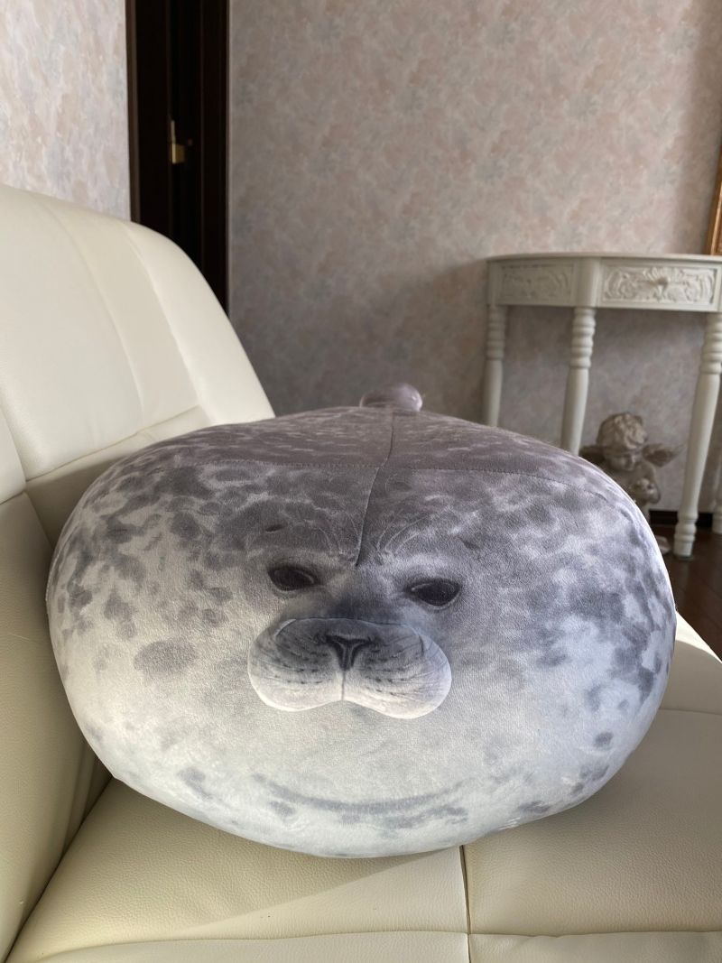 ▲扁得不成海豹型的抱枕(圖/Twitter@mrmpdl)