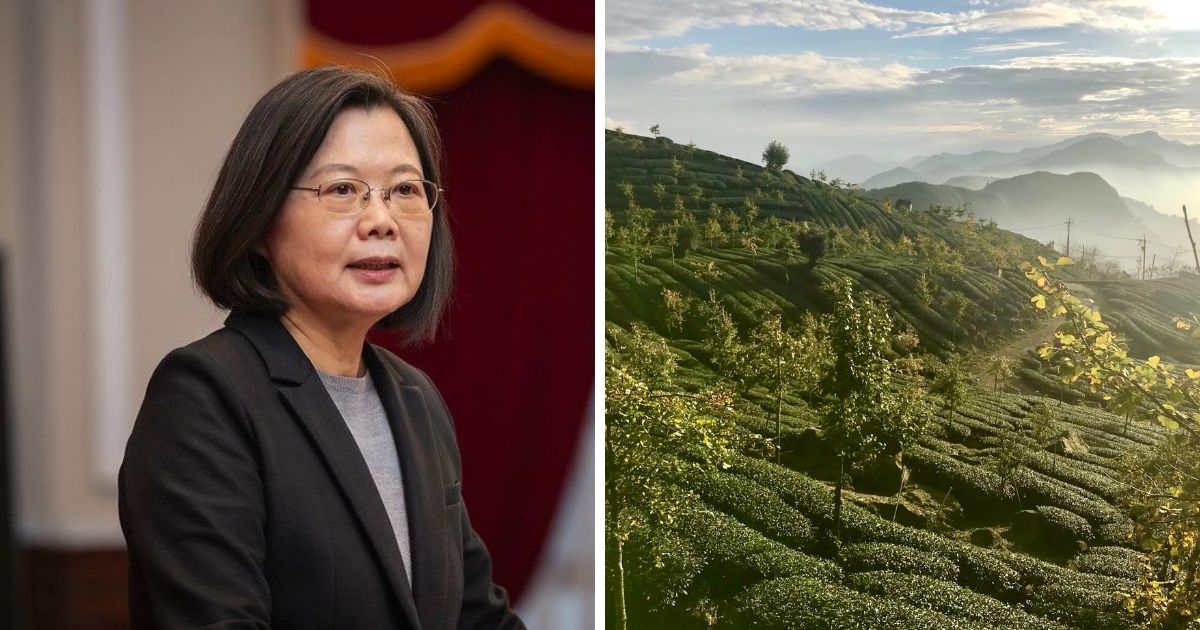 ▲拼圖，總統蔡英文（左）、英國記者鏡頭下的阿里山。（圖｜NOWnews資料庫/Twitter)