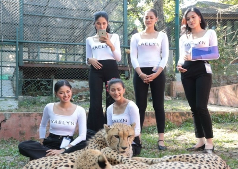 ▲佳麗們坐在花豹旁邊還能處變不驚的拿出招牌笑容，讓粉絲們看得心驚膽跳，又忍不住佩服美女們的敬業。（圖／ANN／泰國民族報）