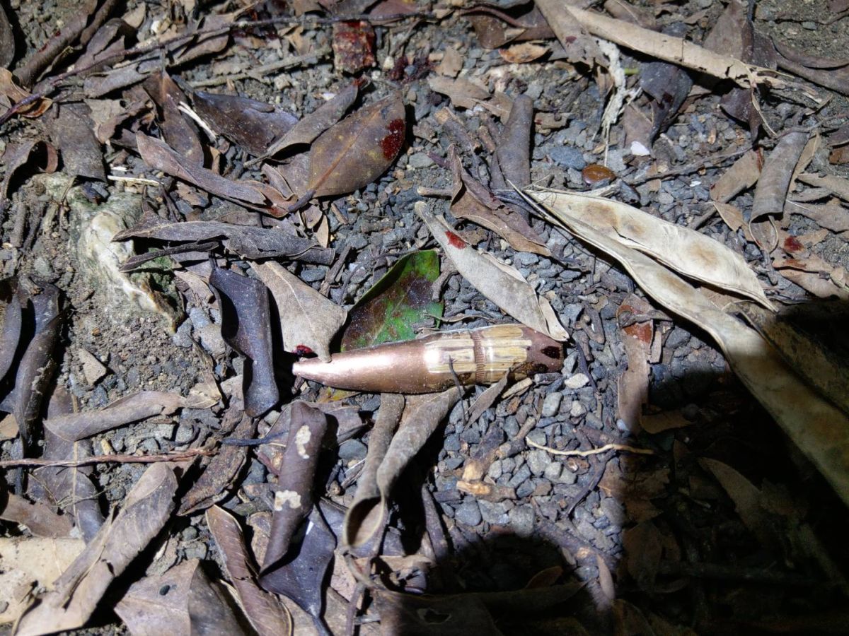 ▲高雄柴山天中午傳出登山客遭到槍擊事件，警方也在傍晚尋獲該枚擊傷人的彈頭，目前初步確認為步槍彈，不過仍需由鑑識中心進一步調查，並再次確認是否為軍方所有。(圖／高市警局鼓山分局提供)