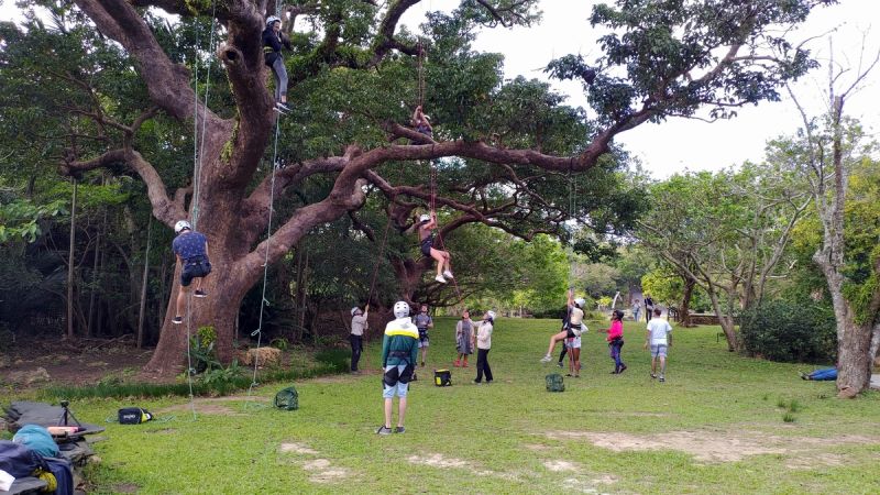 ▲外國朋友在墾丁森林遊樂區體驗攀樹活動。（圖／屏東縣政府提供,