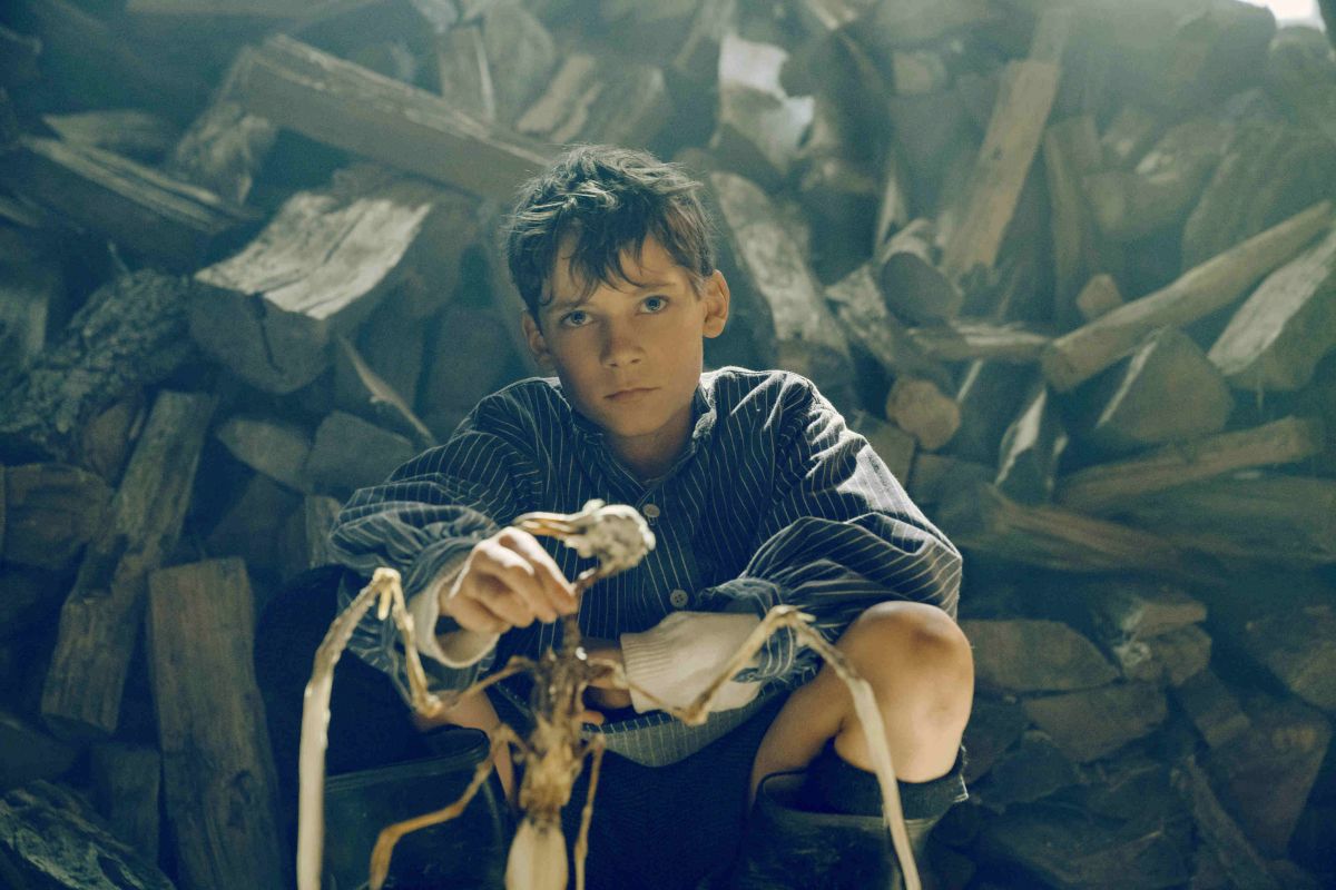 ▲《偷畫男孩》改編自轟動全球的文學經典《德語課》。（圖／海鵬）