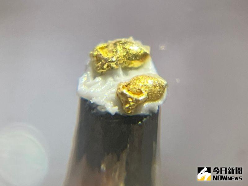 ▲陳逢顯雕刻的黃金牛,希望能「扭」轉乾坤,擺脫新冠肺炎的噩夢。(圖/記者陳志仁攝)