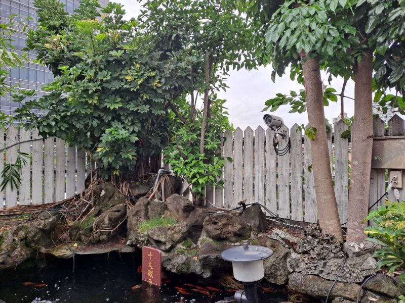 超狂頂加戶「種榕樹、蓋魚池」　恐害47年老屋變危樓
