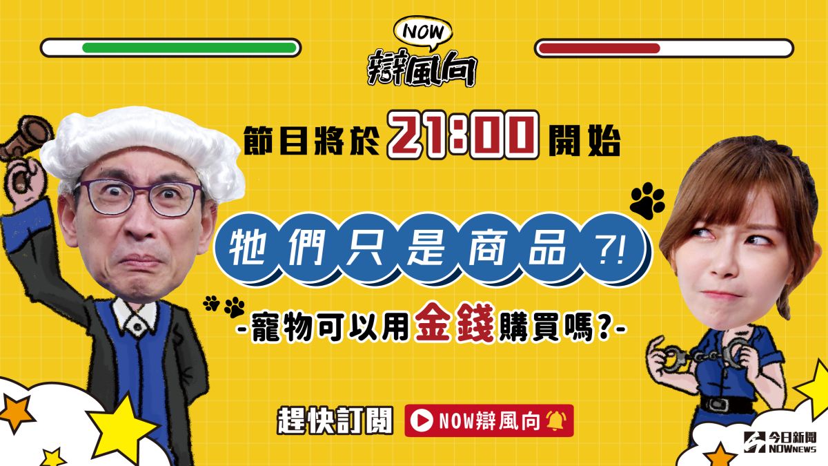 ▲寵物可以用金錢購買嗎？你怎麼想？趕快點進直播觀看辯論！（圖／影像中心製作）