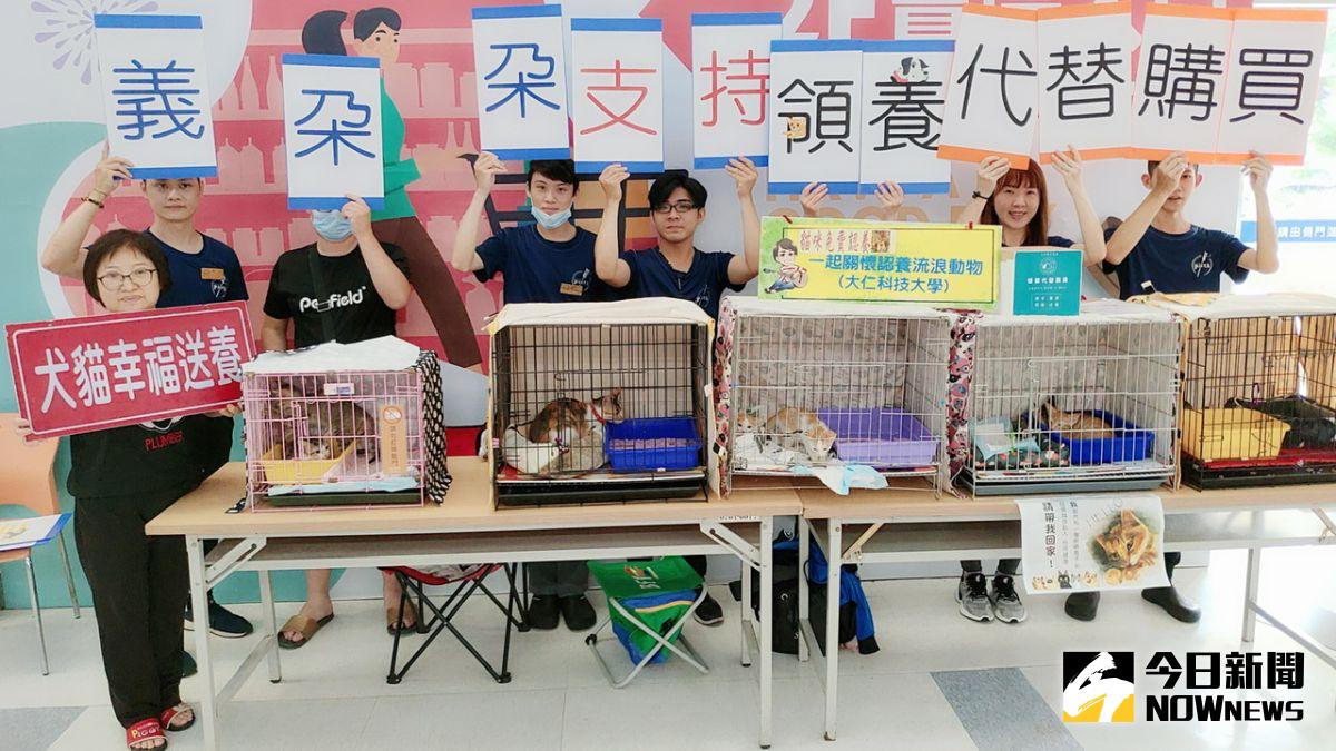 ▲為宣導「領養代替購買、領養不棄養」屏東「義朵朵Pasta」攜手「屏東縣立安護生協會」，號召社會大眾共同領養流浪貓。（圖／記者陳美嘉攝）
