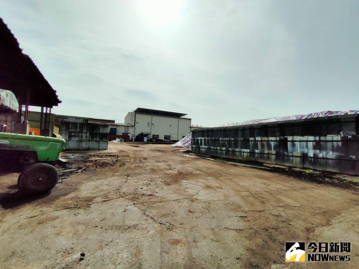 ▲二水鄉一家禽糞堆肥場將回收的畜禽糞在場內進行發酵，再送往製作有機天然肥料，堆放的禽糞暴露在戶外，味道難聞。（圖／記者陳雅芳攝，2020.12. 16）