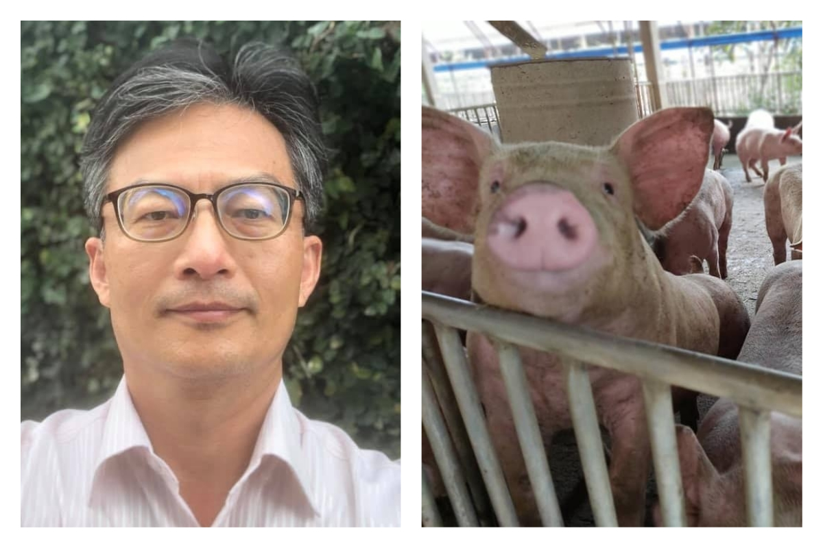 ▲精神科醫師蘇偉碩因發表反萊豬言論，遭衛福部指控涉犯食安法或社會秩序維護法，要求他25日深夜到警局說明。（圖／翻攝自「蘇偉碩醫師的543」臉書粉專）