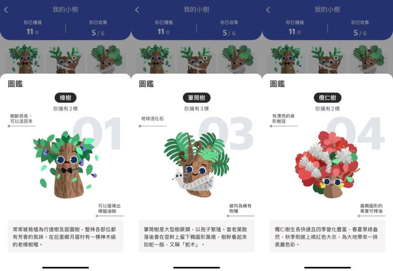 ▲Yahoo奇摩將陸續推出共12款台灣常見樹種，天天搭乘公車能隨機解鎖不同台灣樹種圖鑑。（圖／Yahoo奇摩提供）