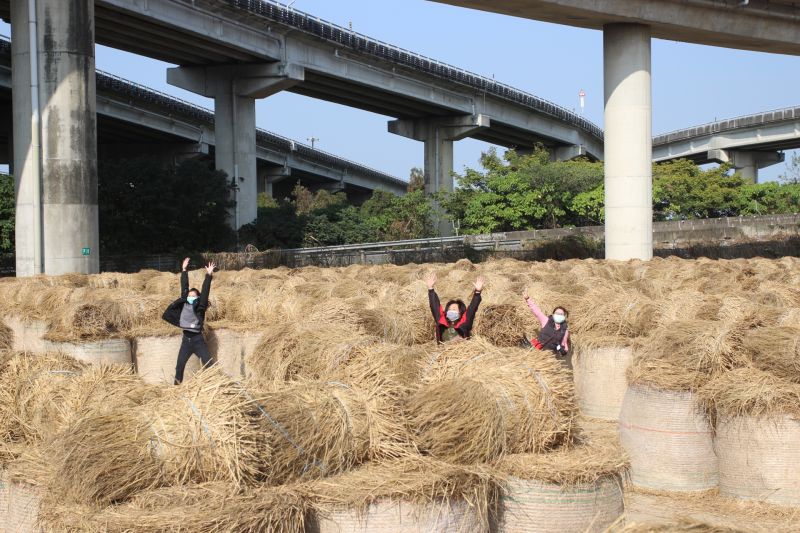 ▲2020雲林縣大埤鄉稻草文化節,26日將在大埤鄉三結村國道雲林系統交流道下方登場。(圖/記者簡勇鵬攝,2020.12.16)