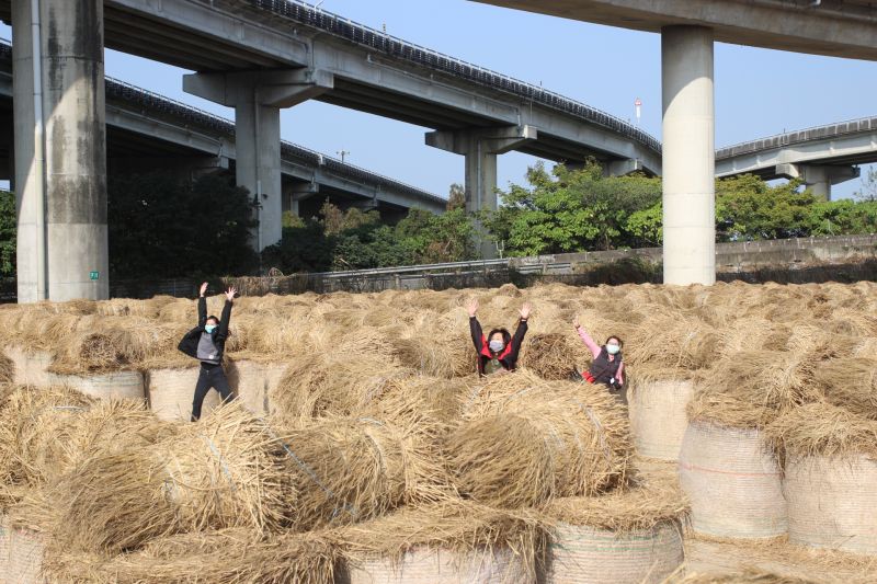 ▲2020雲林縣大埤鄉稻草文化節，26日將在大埤鄉三結村國道雲林系統交流道下方登場。（圖／記者簡勇鵬攝，2020.12.16）