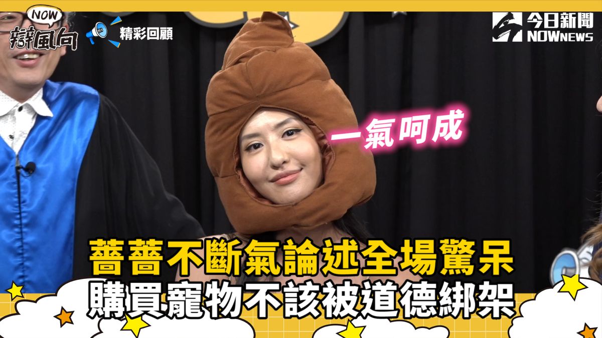 ▲薔薔不間斷論述眾人驚呆。（圖／NOWnews）