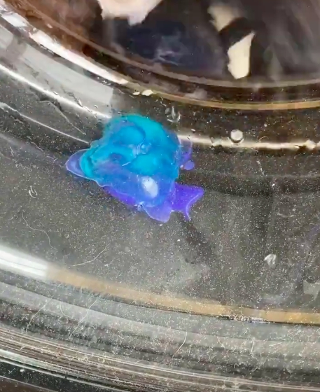 ▲網友分享自己使用洗衣球丟進滾筒洗衣機,沒想到卻卡在排水區,令她哭笑不得。(圖/翻攝臉書批發社團)