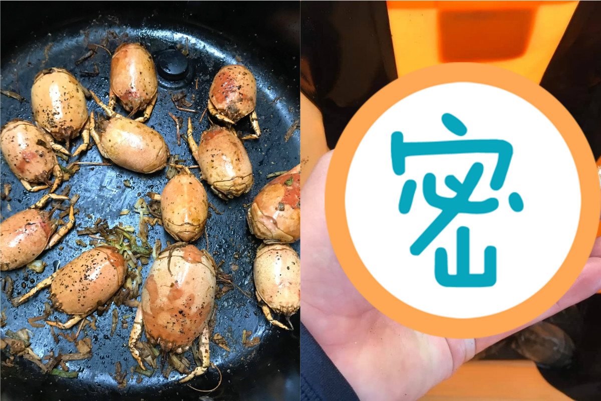 ▲有網友貼出宵夜照片，但食材外型太過詭異，甚至如同壁蝨一般，而在網路上掀起一陣熱議。（圖／翻攝爆廢公社二館臉書）