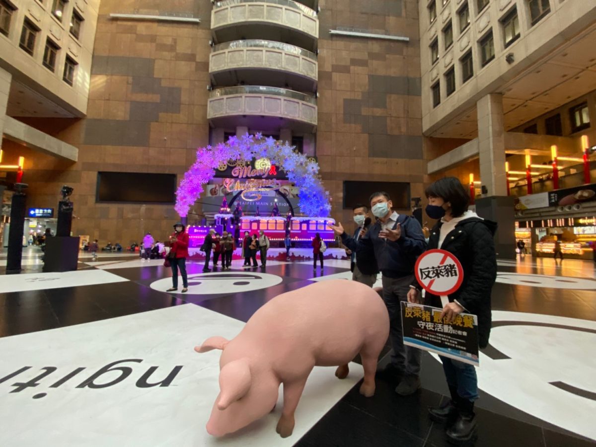 ▲國民黨立委林為洲、謝衣鳳帶著保麗龍製台豬，快閃北車宣傳23日晚間由黨團舉辦的最後的晚餐活動。　（圖／記者吳承翰攝）