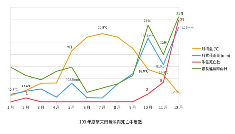 ▲109年度擎天崗氣候與死亡牛隻數。(圖/陽明山國家公園管理處提供)