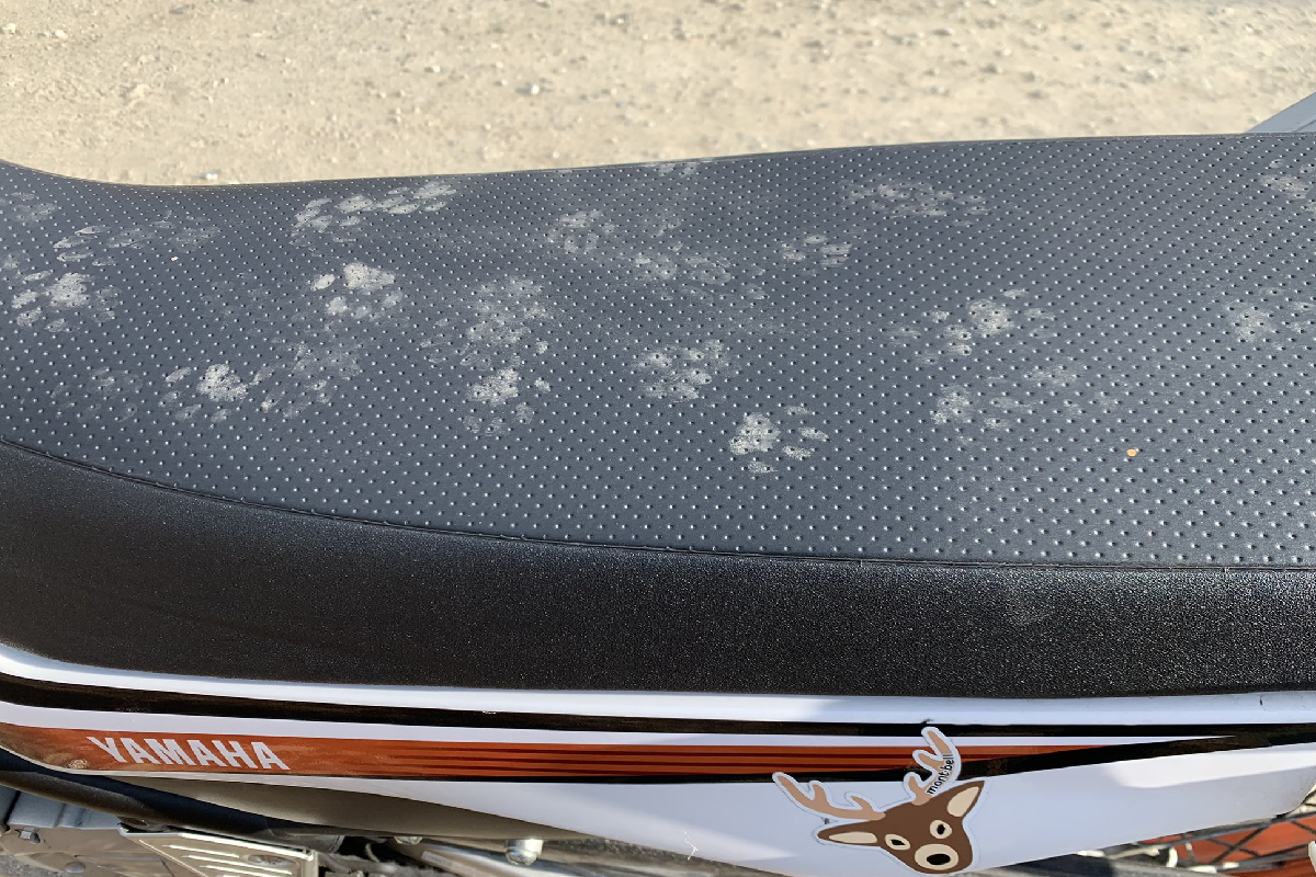 ▲離開後回來，機車座墊竟成「貓掌花色」！（圖／Twitter＠mattari0116）