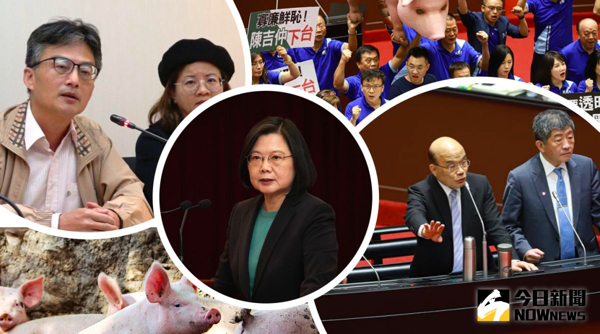 ▲總統蔡英文宣布開放萊豬、30個月齡大的美牛進口，引發各界討論。（圖／NOWnews）