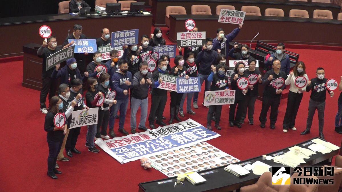 ▲攸關萊豬開放進口的9項行政命令表決過關，國民黨團嗆聲，力拚明年8月公投要推翻萊豬政策。（圖／記者林柏年攝，2020.12.24）