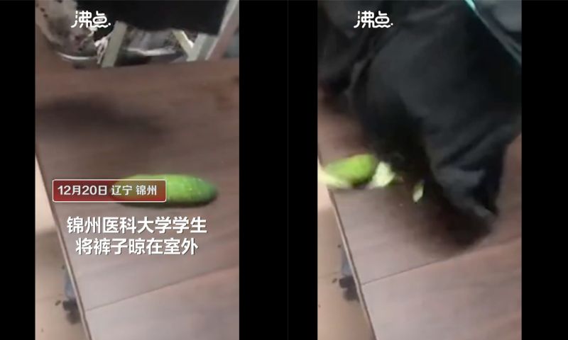 ▲中國一名遼寧錦州醫科大學的學生,將晾在外頭變冰刀的褲子,拿來切黃瓜。(圖/翻攝自微博《沸點視頻》)