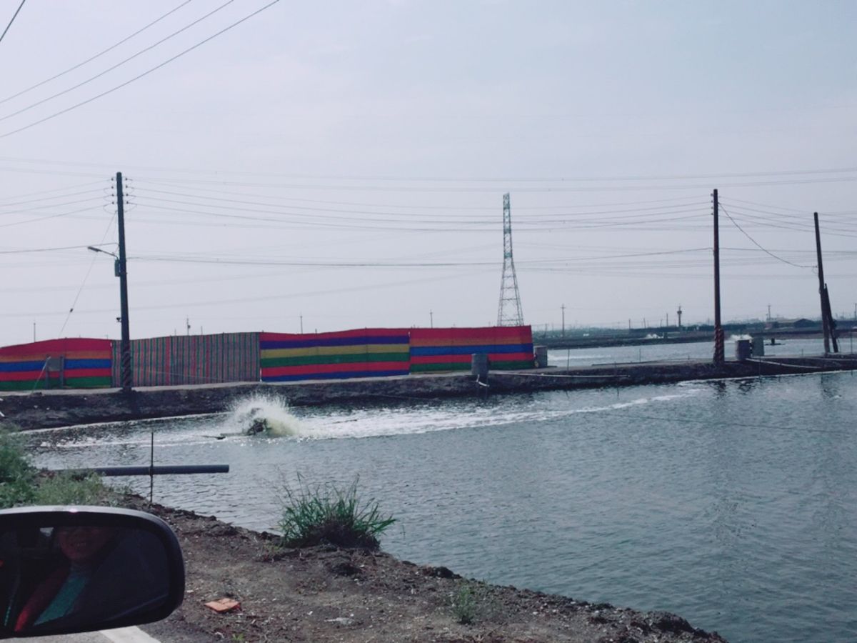 ▲高雄市政府海洋局呼籲養殖業者加強寒害防範措施。(圖／高雄市海洋局提供)