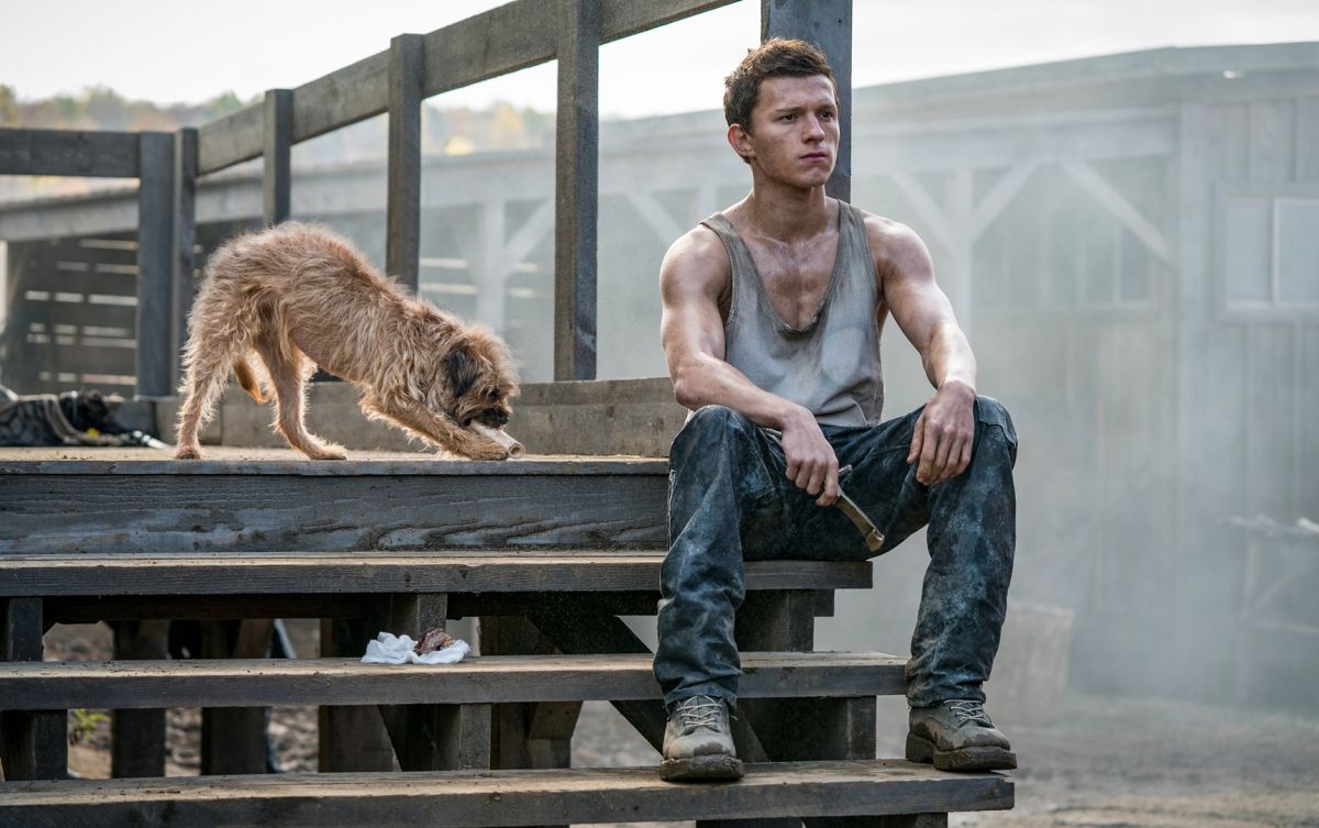 ▲「小蜘蛛」湯姆霍蘭德在《噪反》，與《星戰》黛西蕾德莉聯手。（圖／龍祥）