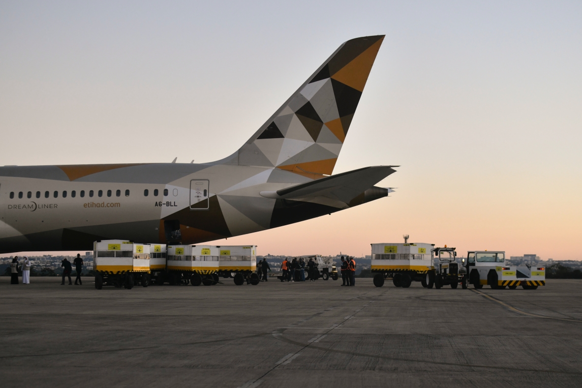 ▲沙烏地阿拉伯民航官員今天表示，沙國一家航空公司完成該國首次全女性機組員的飛行，這是保守沙國賦予女性權力的一大里程碑。（圖／美聯社／達志影像）